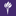 nyu