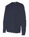17505_fl.webp