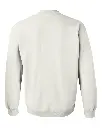 19539_b_fl.webp
