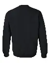 19515_b_fl.webp