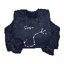 SW Black Scorpio.webp