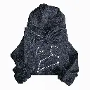 Hoodie Black Leo.webp