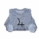 SW Grey - Jupiter.webp