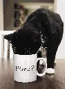 Custom Photo & Name Mug
