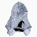 Hoodie Grey.webp