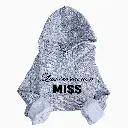 Hoodie Grey.webp