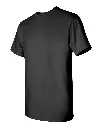 16787_fl.webp