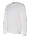 17508_fl.webp