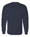 17505_b_fl.webp